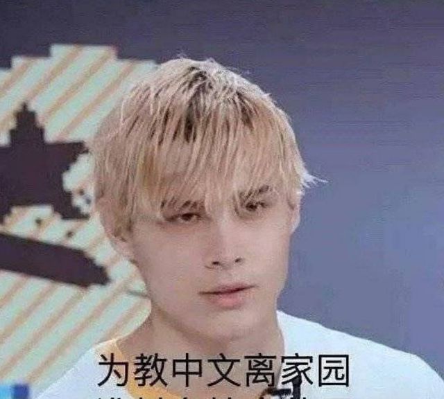 《创4》最新排名出炉,利路修真的卡12了,笋丝终于如愿以偿