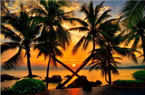 三亚天涯海角，我的手镯被“泡”走了，好心疼啊！