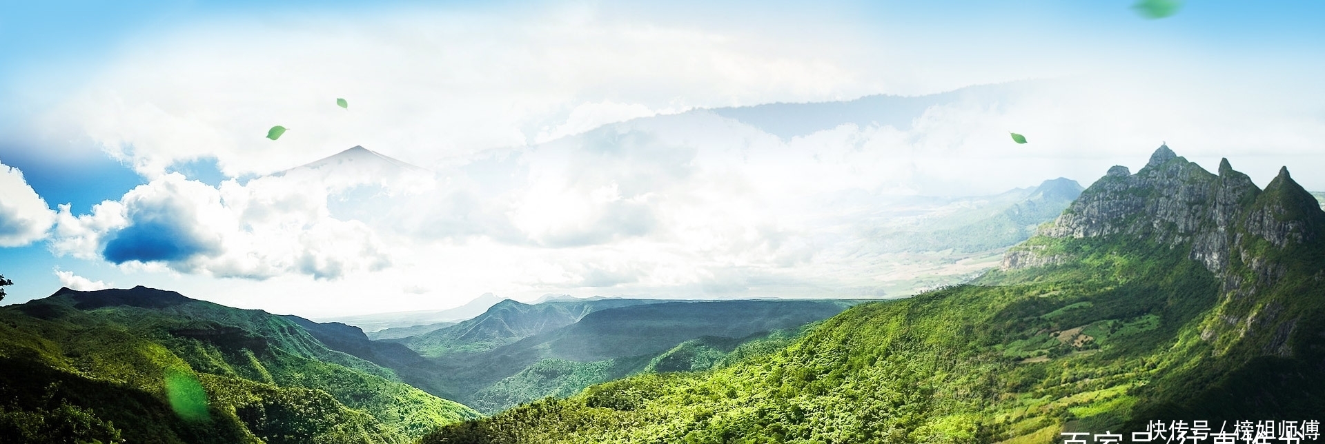 内容简介|四本科幻小说，怪物横行，植物变异，觉醒特殊技能，成为末世大佬