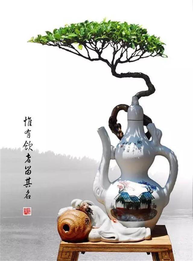 旧茶壶种点花,秒变高端盆景,卖300一个邻居抢着要