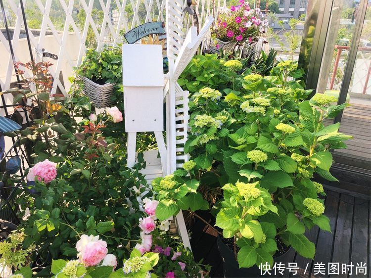 防腐木|13㎡屋顶造花园,在喧嚣城市里,打造一个自己心灵深处的伊甸园