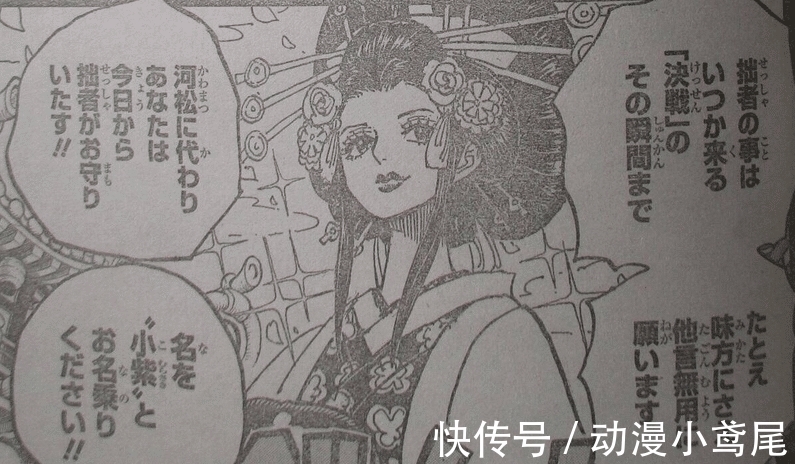 大蛇|海贼王973话:好起来了,狂死郎承认真正身份,一直在保护日和