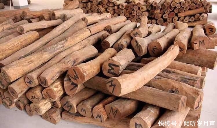 世上这些“奇香异味”的名贵木种，您能认出几个？