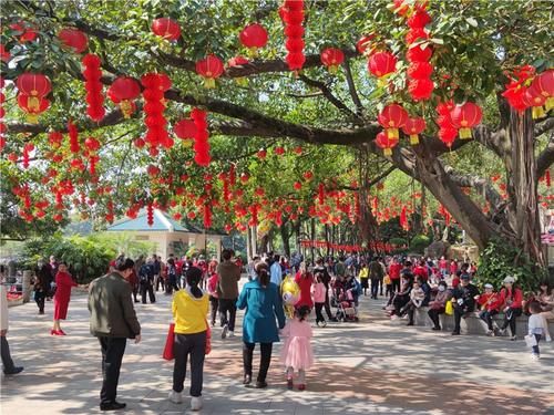 南宁|南宁：大年初一春光明媚 游客人民公园内悠游赏花