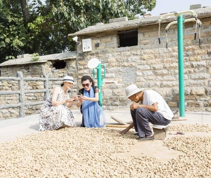 秋天|走进田野，闻到秋的味道