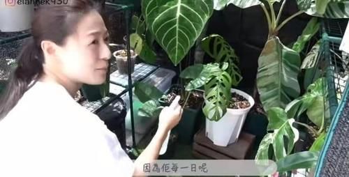 私生活|私生活大公开,江若琳拍片大晒奢华复式豪宅,窗外海景一览无遗