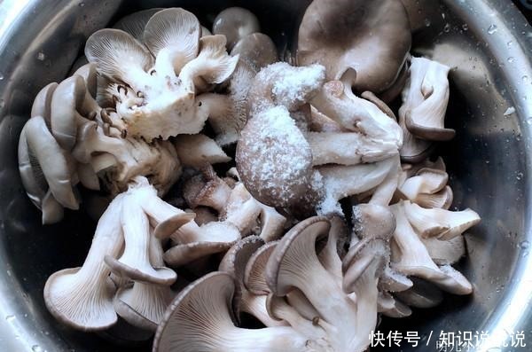 饺子馅用“它”当做馅料,营养美味汁水足,大人孩子抢着吃!