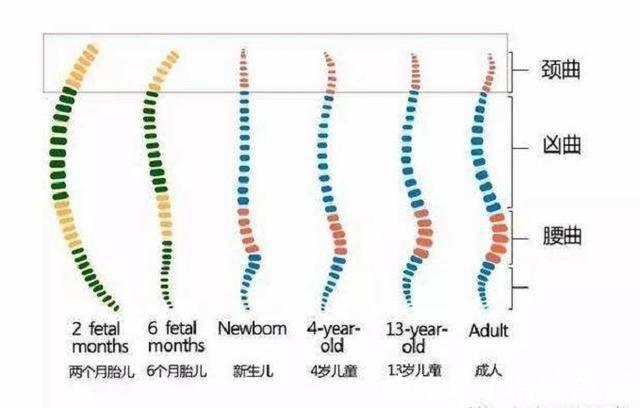 孩子|别这样抱孩子了，伤了宝宝脊柱你还不知道，附不同月份的正确抱法