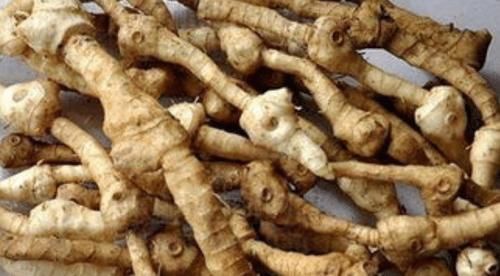  李时珍|李时珍称它是血气双补之王，男女多饮用，受益一生