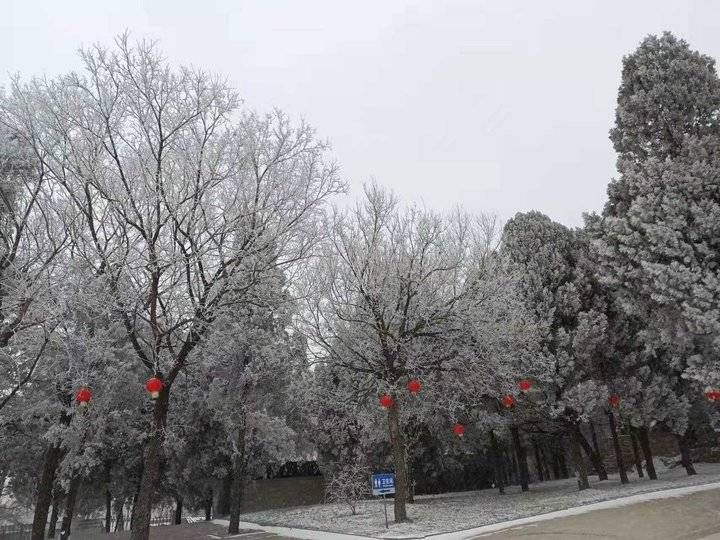 钟福生|宛若仙境！跑马岭景区出现雾凇景观