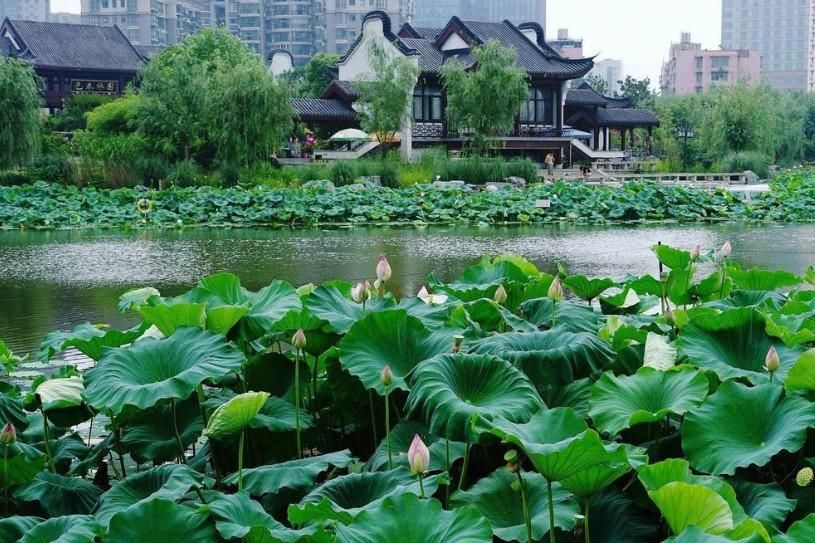 走红|武汉一大型公园走红，被称武昌“小西湖”，耗资8亿门票免费