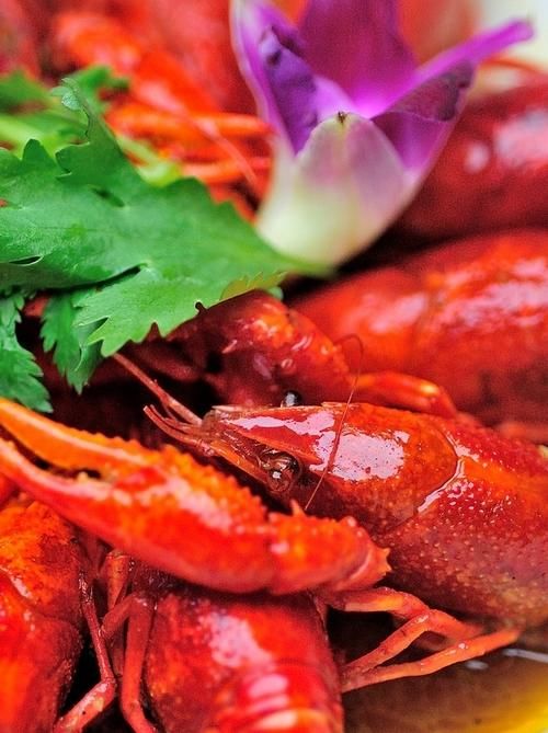 首家会飞的火锅落户沈阳，大虾火锅飞起来，小龙虾九块九