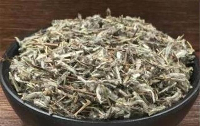 火绒草|农村山里的一种罕见野草,不仅可以吃,还能卖出60元一斤的高价