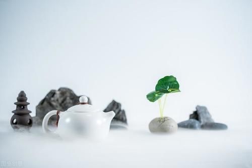 讲究|冬至喝茶好处多，其中讲究也不少