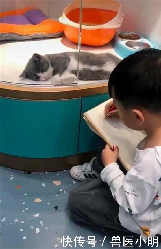 血压升高|老师布置作业画猫，看完儿子的作品血压升高：跟看恐怖片似的