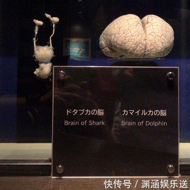 25张不可思议的对比图,你可能一张都没见过!