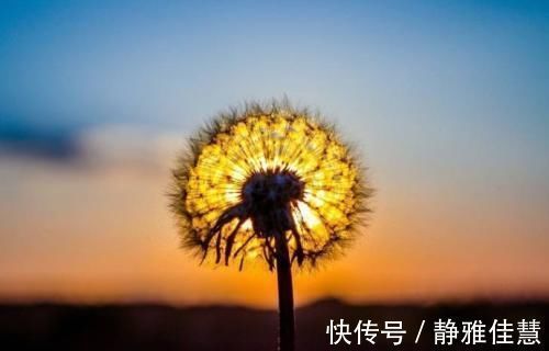 中国文学史@陶渊明五十岁写的一首诗,最后四句堪称经典,表达对生命的领悟