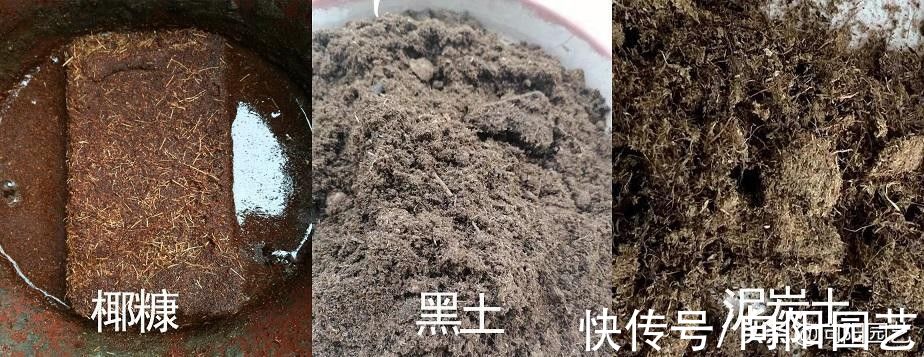 透水性|配土方式千千万，有人用泥炭，有人用颗粒，搞清楚原理是关键