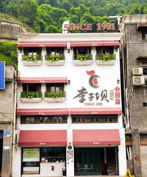 寻踪|寻踪李子坝！来一次全新的山城穿越之旅