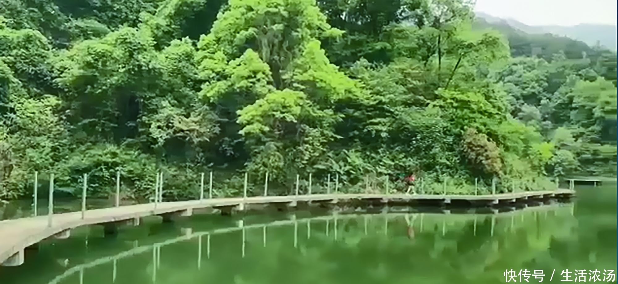 云居|江西永修新景区云居古道：乱峰深处云居路，共踏花行独惜春