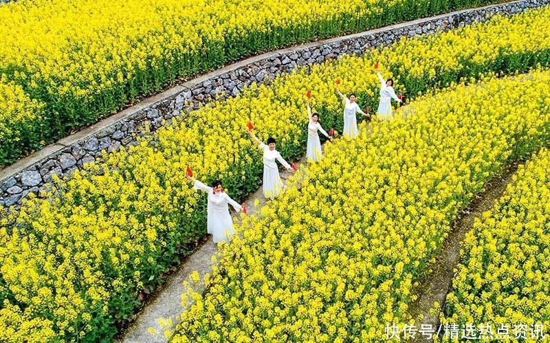 高清湖北兴山高山龙池千亩油菜花盛开 美如画卷