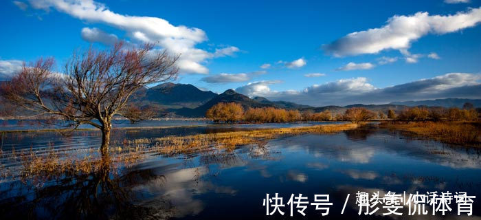 诗歌#王维很佛系的一首诗,诗意行云流水,很适合心情浮躁的时候读