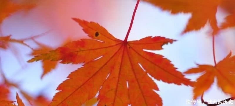 令人心醉|杜牧最经典的一首诗,美得令人心醉,成为描写秋天最唯美的一首诗