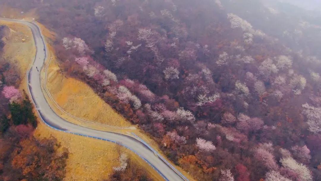 老年|信阳市光山县一景色被央视点赞