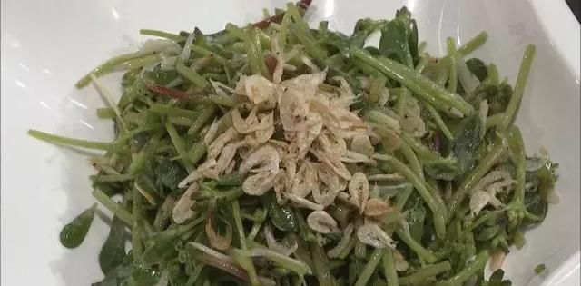 不吃|救命的马齿苋,99的人不知道的作用再不吃就晚了