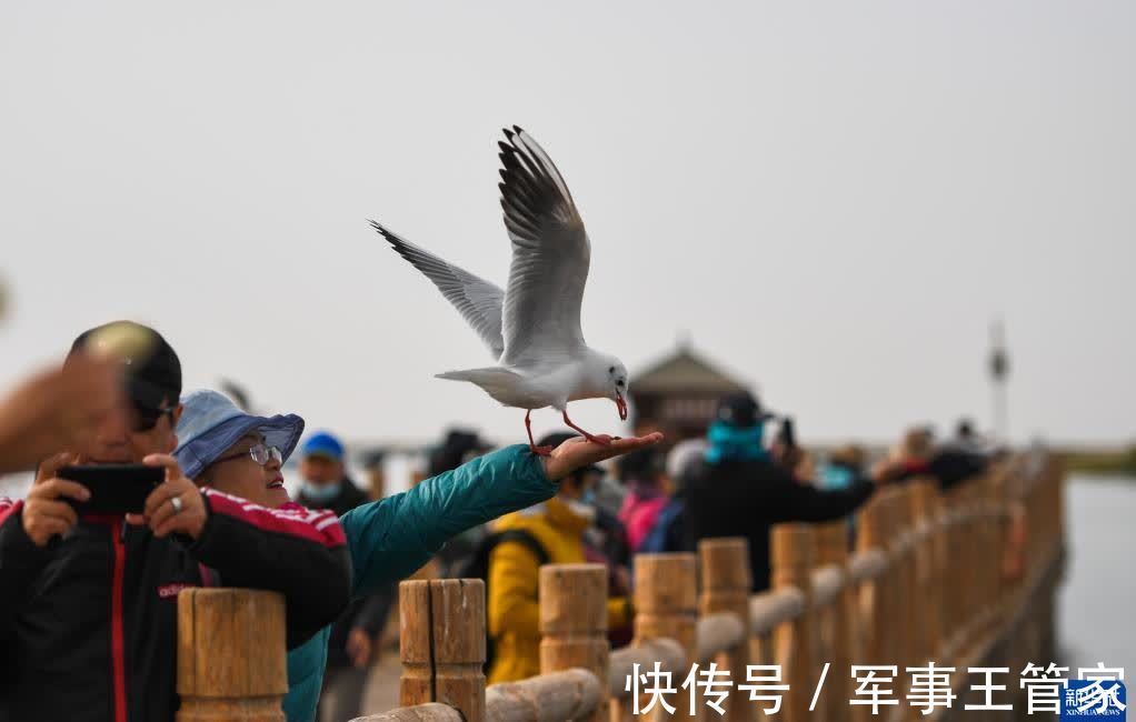 大内陆河|秋日居延海