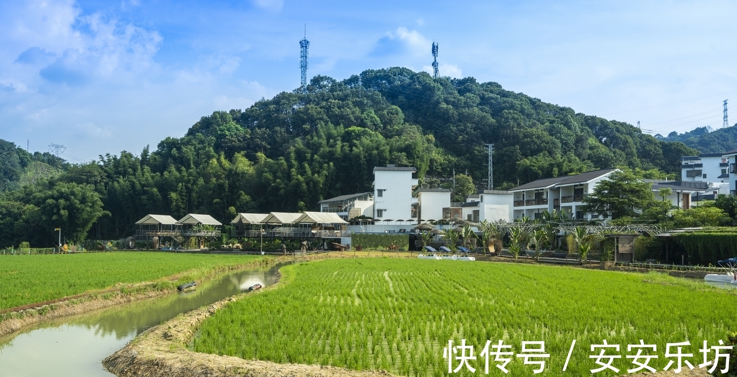 米埗|从化民宿：看得到山，望得见水，守得住乡愁，我的米埗小镇之旅