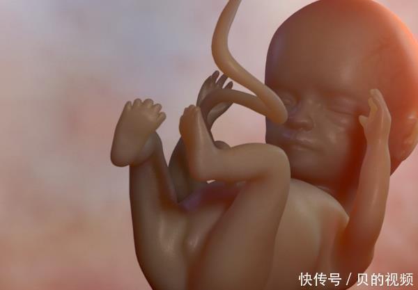 怀孕期间|怀孕后,为何有人一直吐,有人却从不吐医生和腹中胎儿有关
