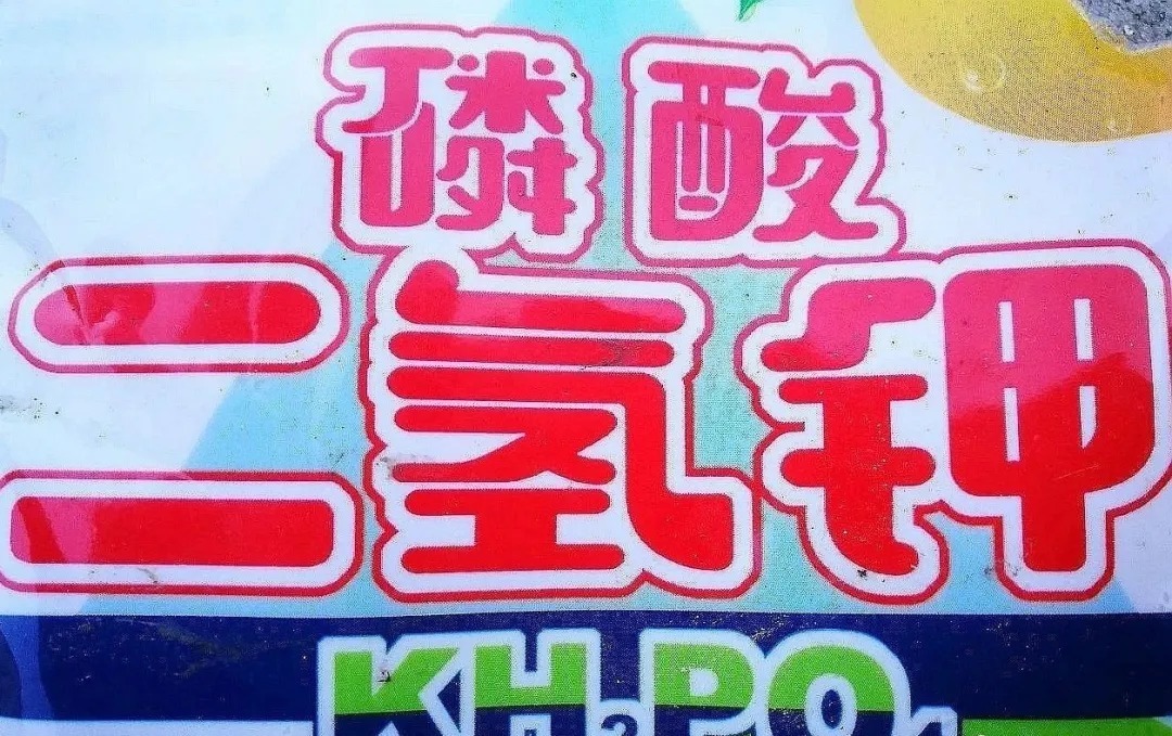 叶片|养兰花如何用好磷酸二氢钾,这几个小妙招,非常实用