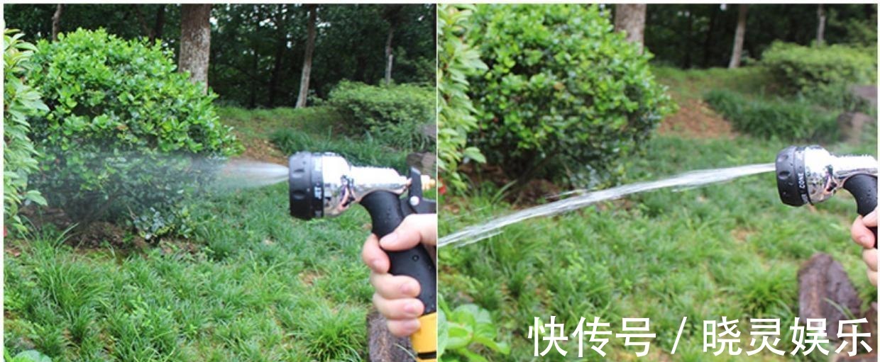 孩子|熊孩子满嘴“口吐芬芳”,奶奶夸真聪明,邻居:这孩子算养毁了