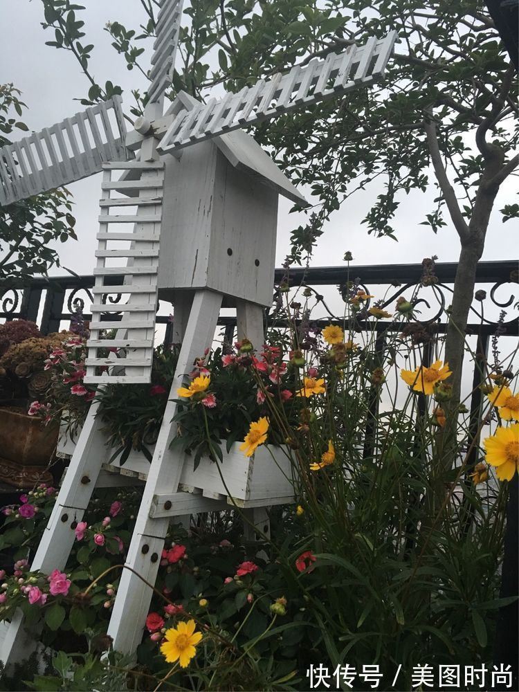 花草|历时一年,在31楼打造300㎡“屋顶花园”,如今美成了仙境