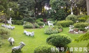 羊城|广州“最大”公园走红，被称“羊城八景之一”，免费开放颇受欢迎