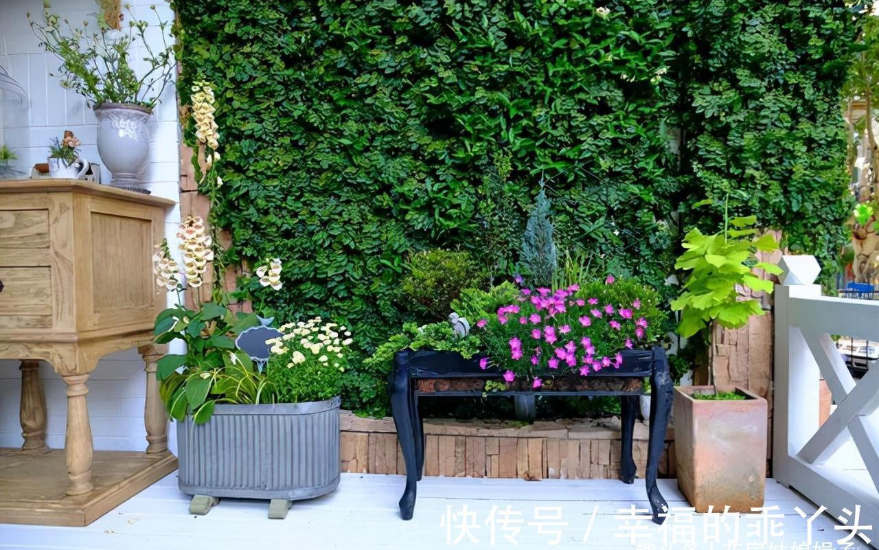 天气变冷,养花出现异状不要慌,原因都在这里,你都做对了吗?