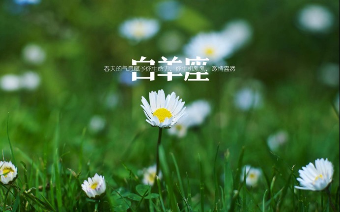 天秤座|傻人有傻福的3星座,心思单纯没心机,出门遇贵人,天生好命