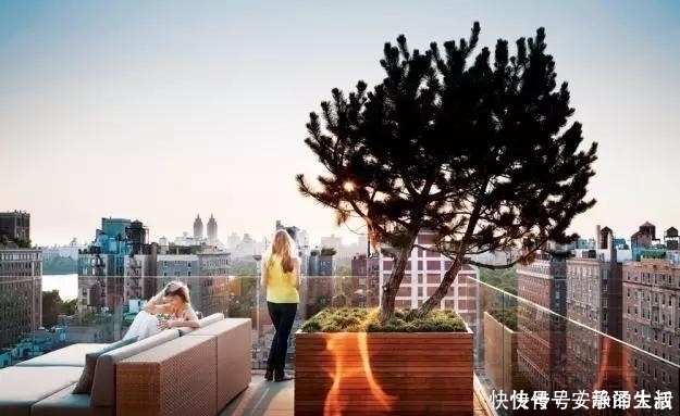 屋顶花园|能有个这样的屋顶花园,人生就圆满了