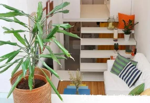 墙面|20㎡超小迷你房,日常生活功能区齐全,大胆又精致的设计