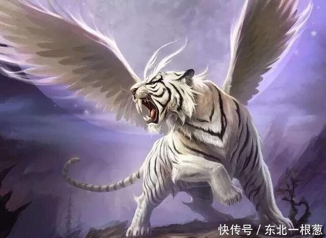 这些神兽来头大:左青龙右白虎前朱雀后玄武,代表着什么?