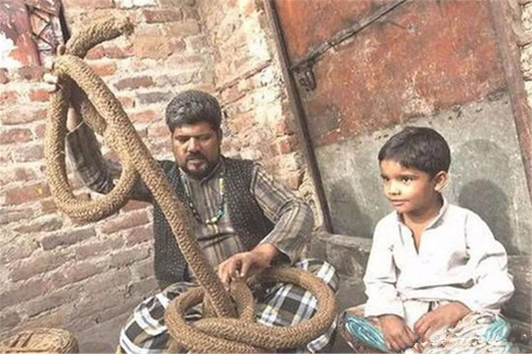 顺着一根绳子就能爬到天空印度的“通天绳”,能否用科学解释