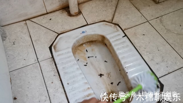 隔夜茶水别倒掉了，解决了男士女士的难题，真实用进来学学！