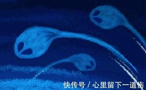知识|趣味冷知识分享(三十二)快来一起涨知识!