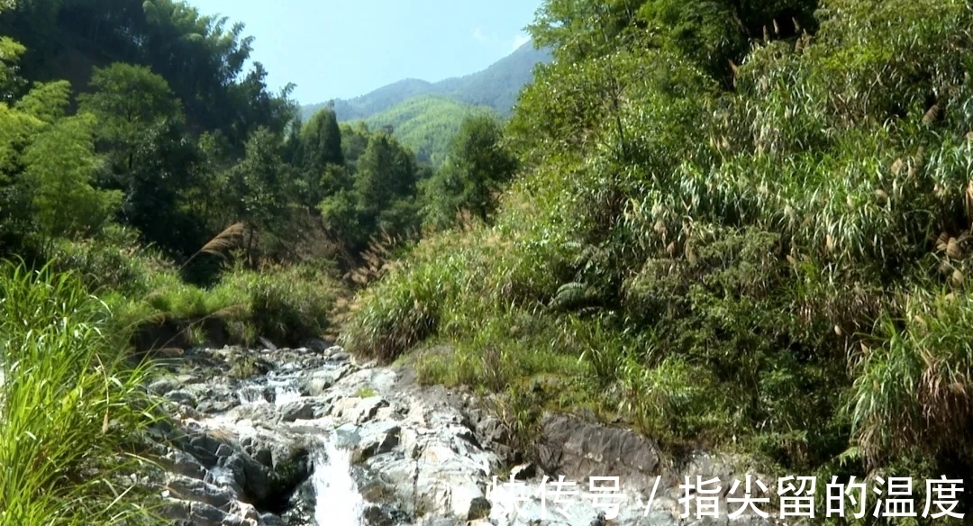 浙江|太罕见!失踪135年,它重现浙江!