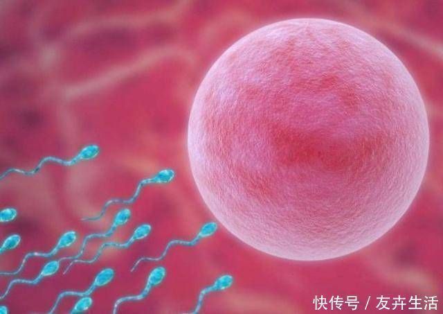 分居|想要在一个月内怀孕,过来人给你总结一下3点技巧!