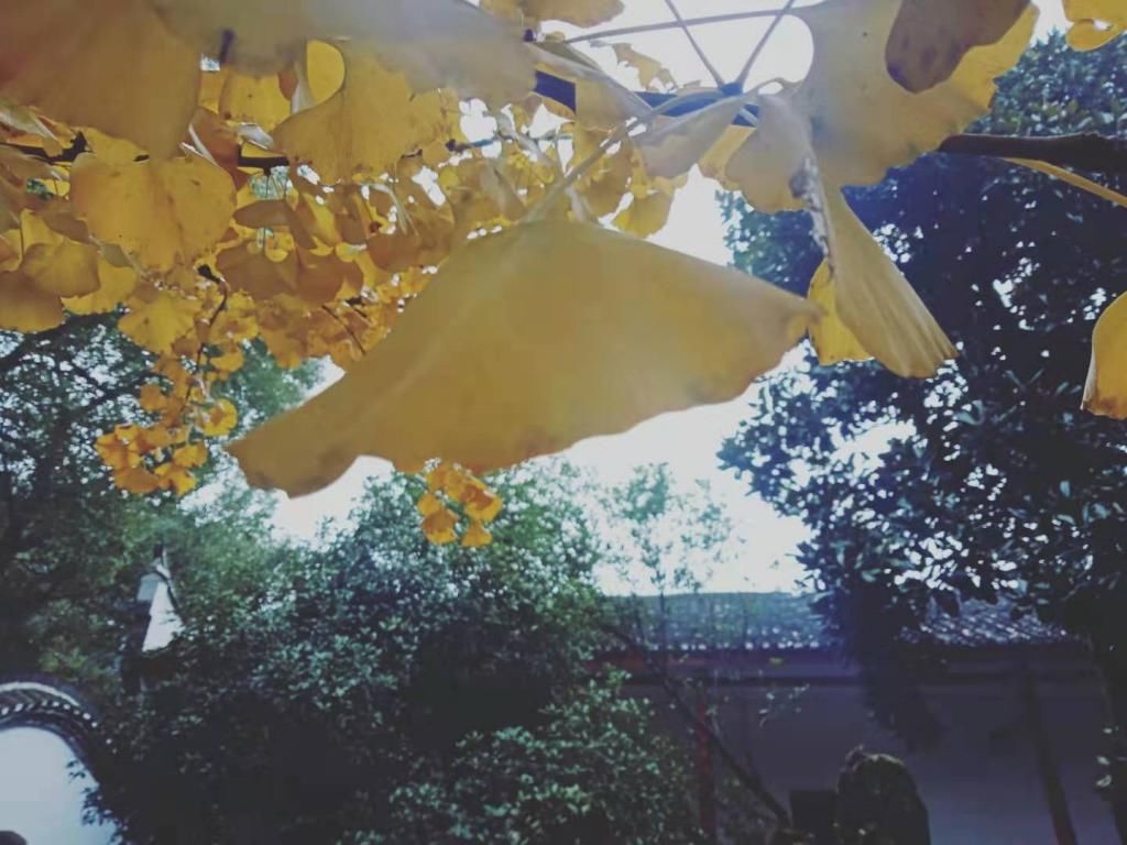  记住|记住乡愁栏目摄制组一行走进陶渊明纪念馆