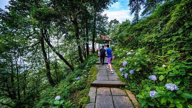 神秘感|峨眉山自带神秘感的云中寺院，有你不曾见过的美