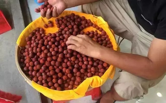 紫檀|紫檀从原木到手串全过程!图文并茂!