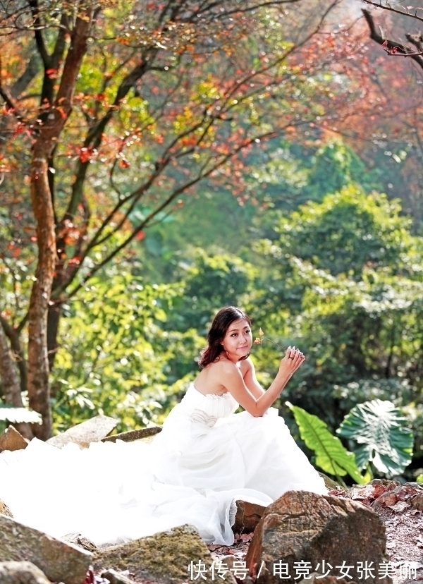 一叶知秋&一叶知秋寒色起,飞红舞罢引风凉;七律六首,秋情寄梦意悠悠